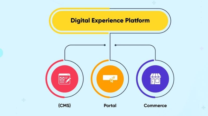 XPaha: An Overview of the Platform, Features, and Key Information